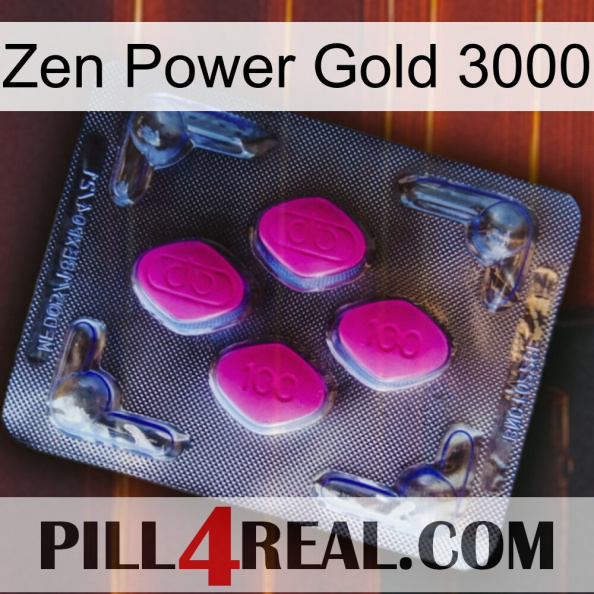 Zen Power Gold 3000 02.jpg